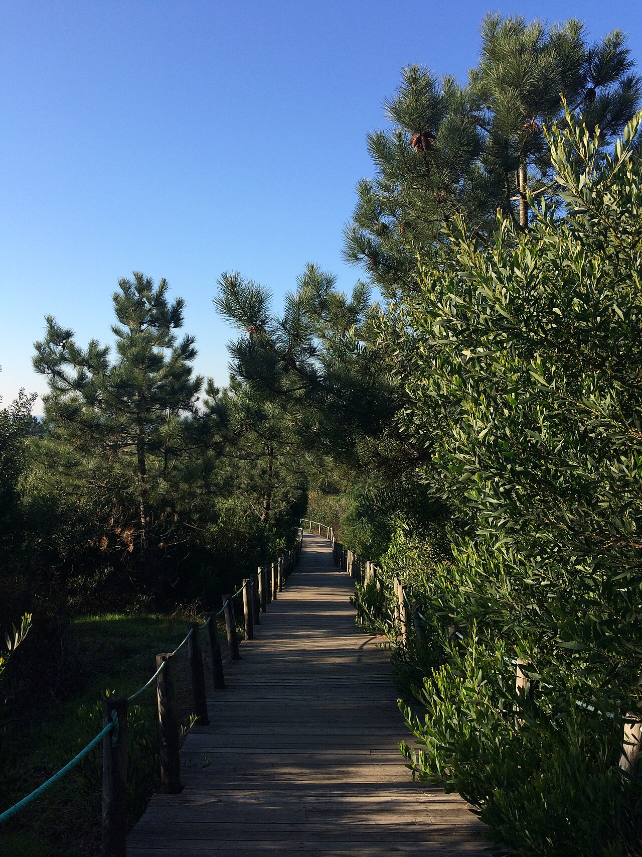 Viana do Castelo — photo 3